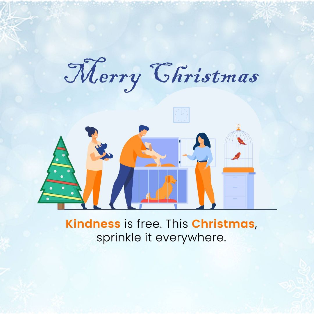 Christmas Image 3