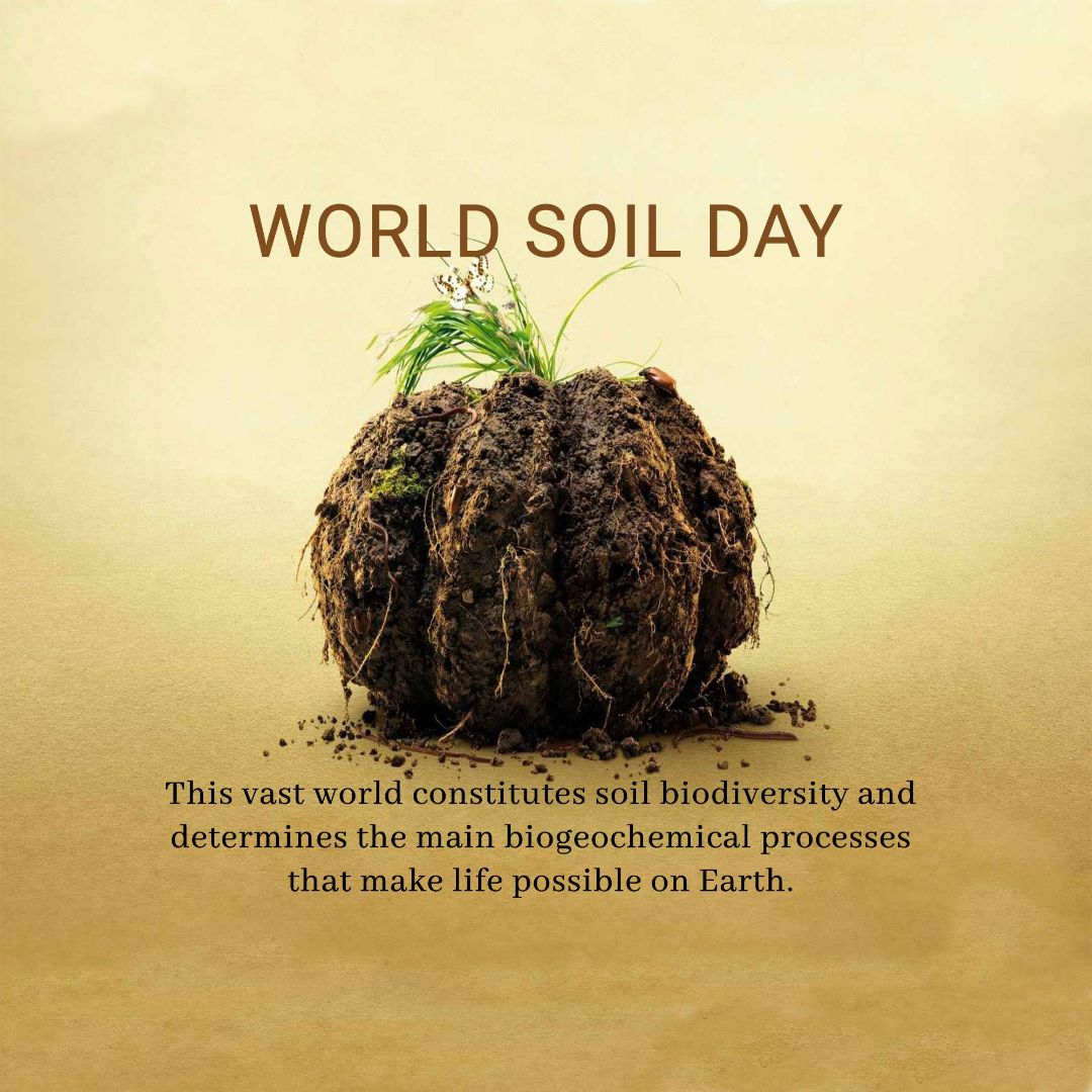 World Soil Day