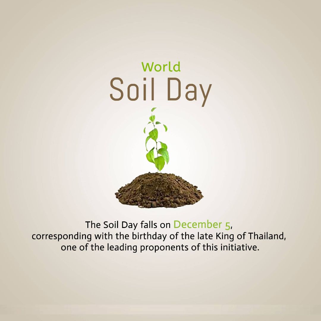 World Soil Day Image 3