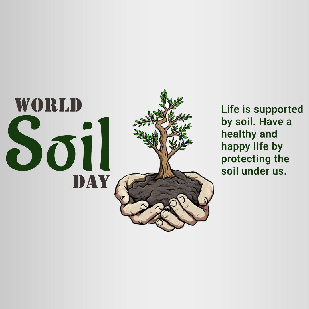 World Soil Day Image 3