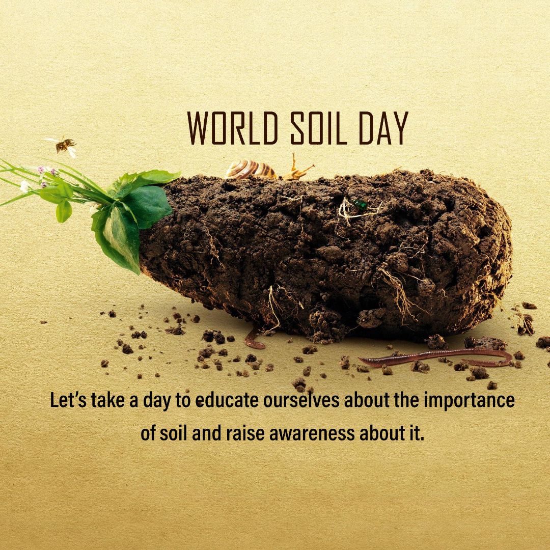 World Soil Day Image 1
