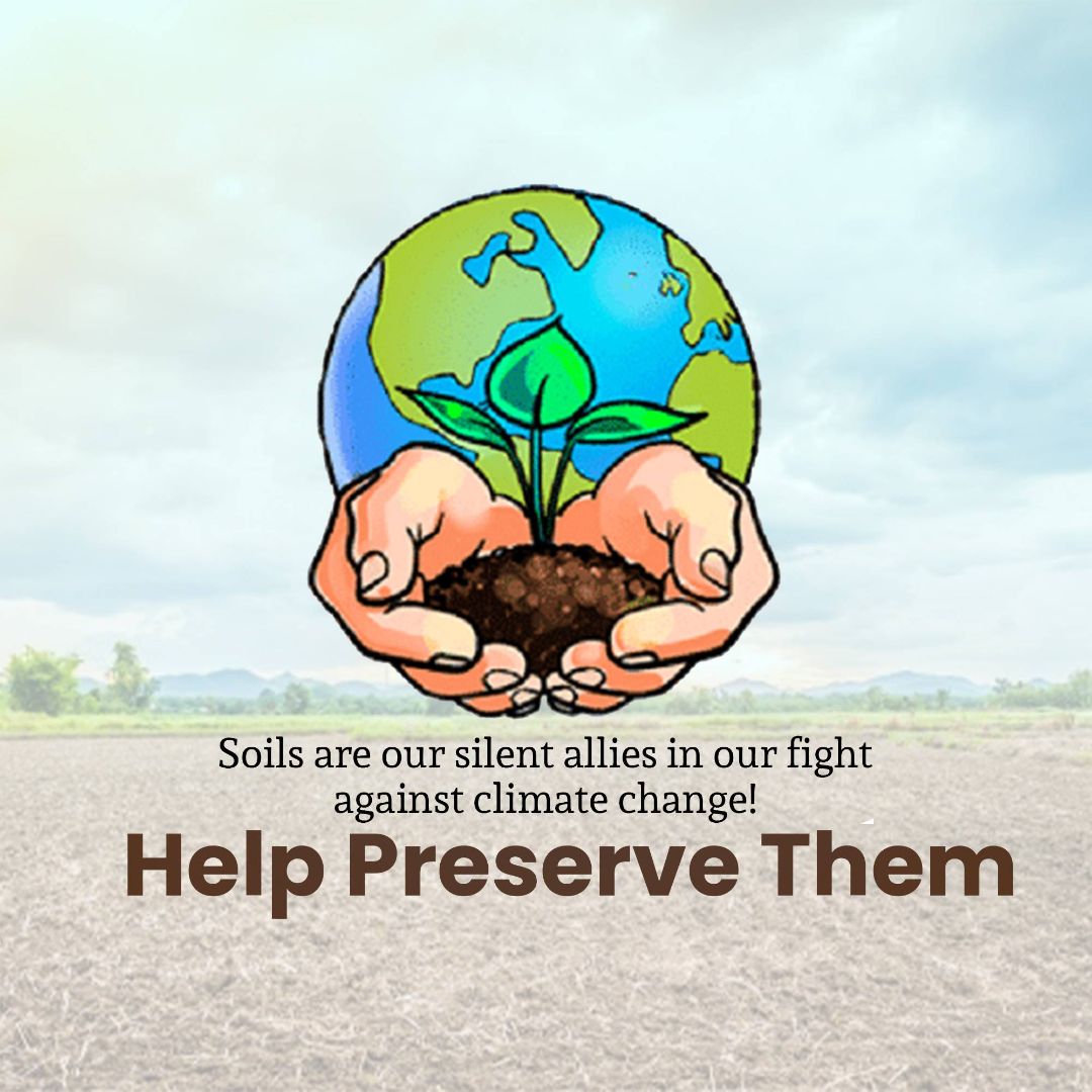 World Soil Day Image 3