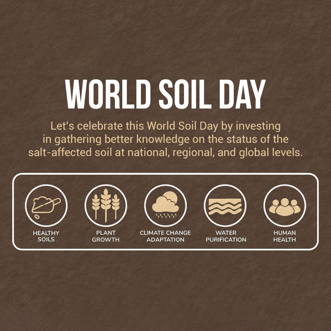 World Soil Day Image 1