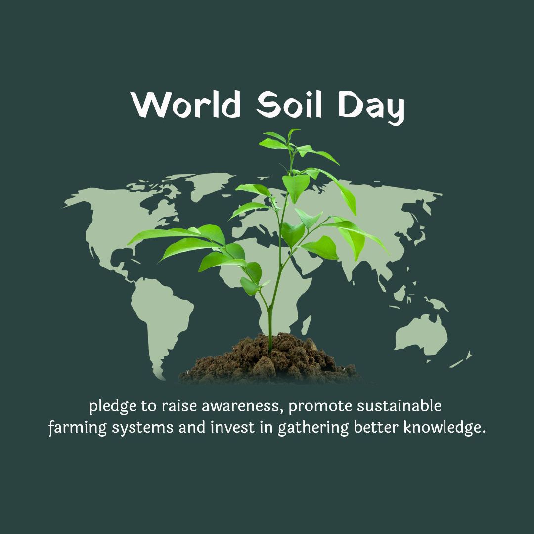World Soil Day Image 2