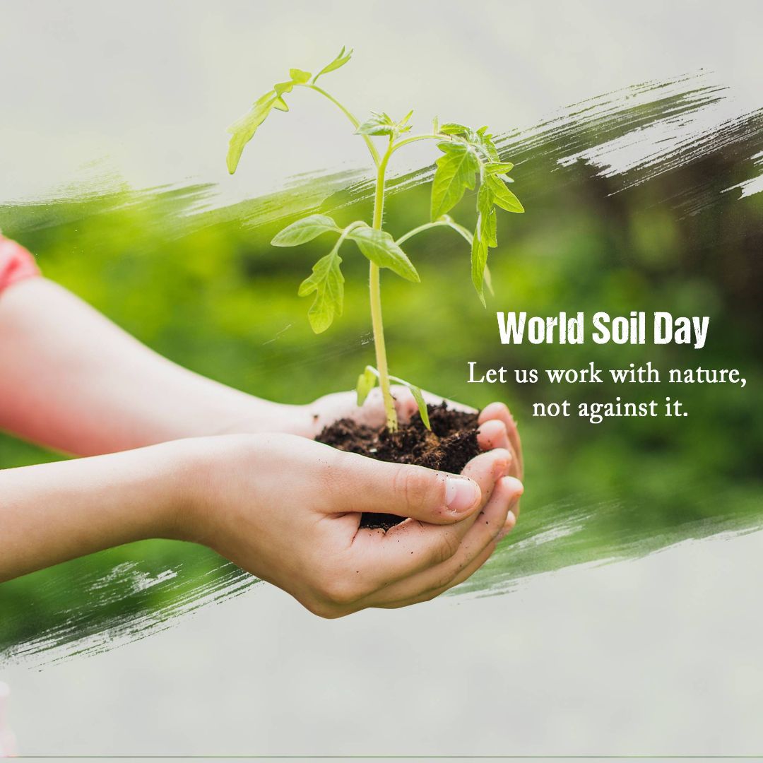 World Soil Day Image 2