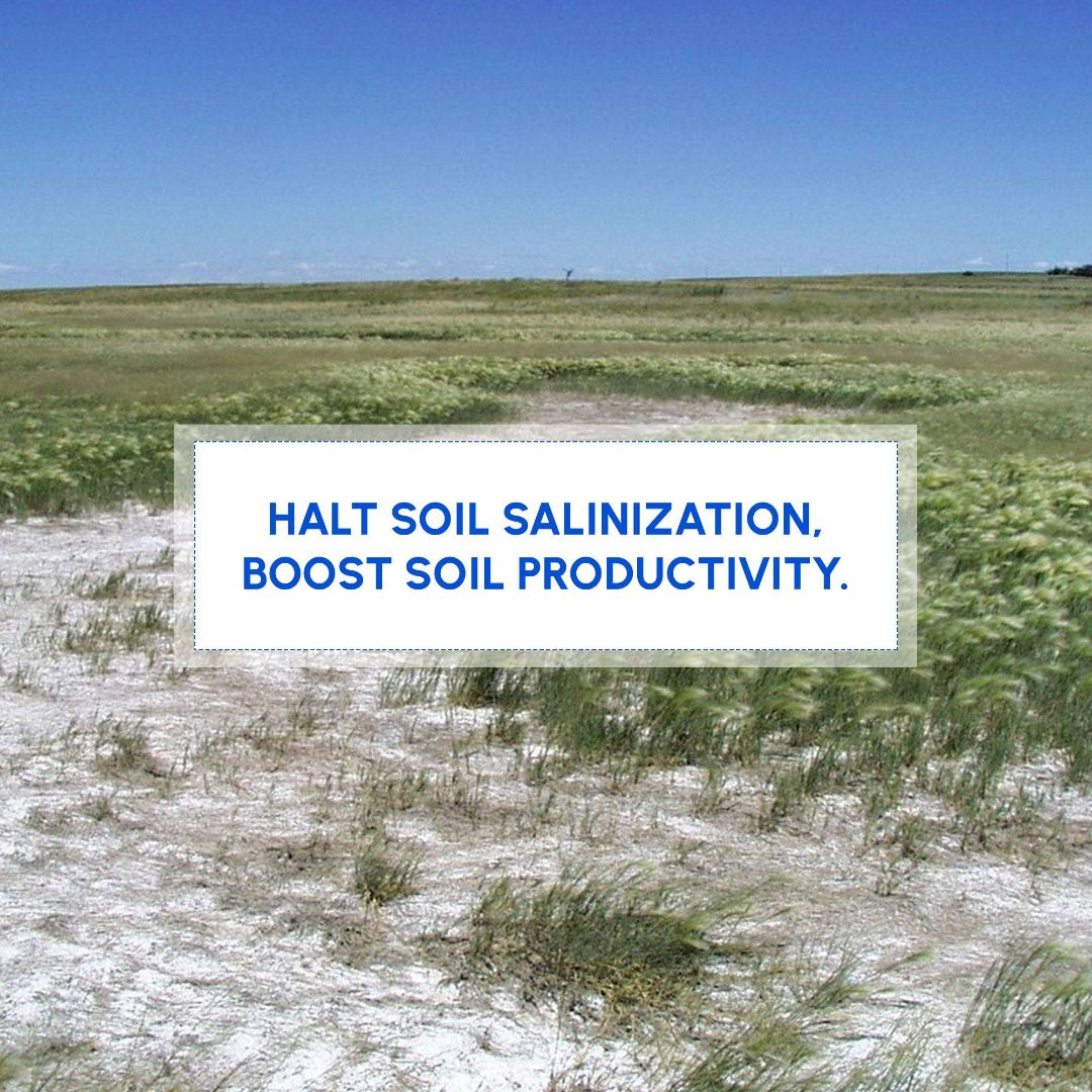 World Soil Day Image 3