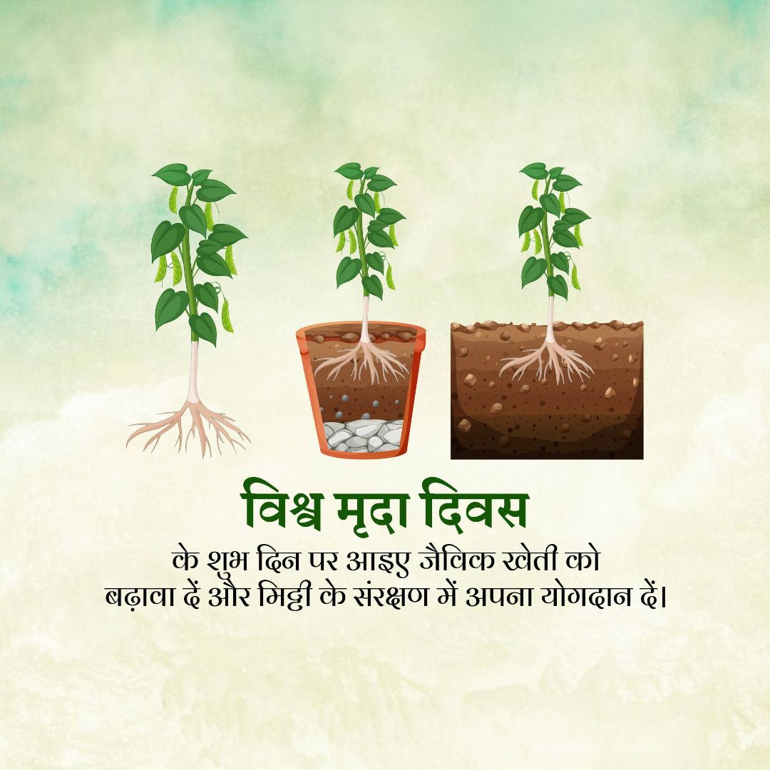 World Soil Day Image 1