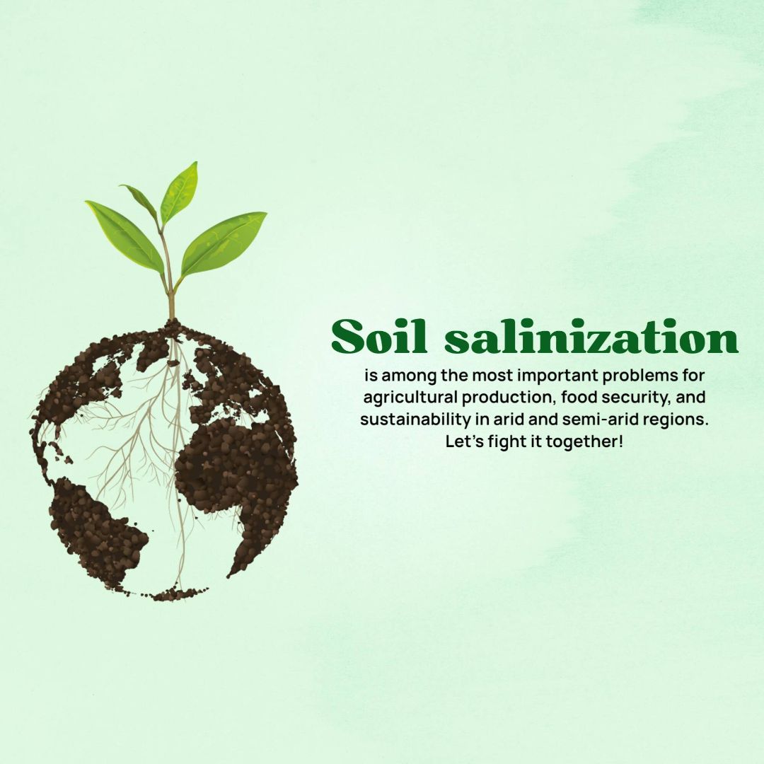 World Soil Day Image 2