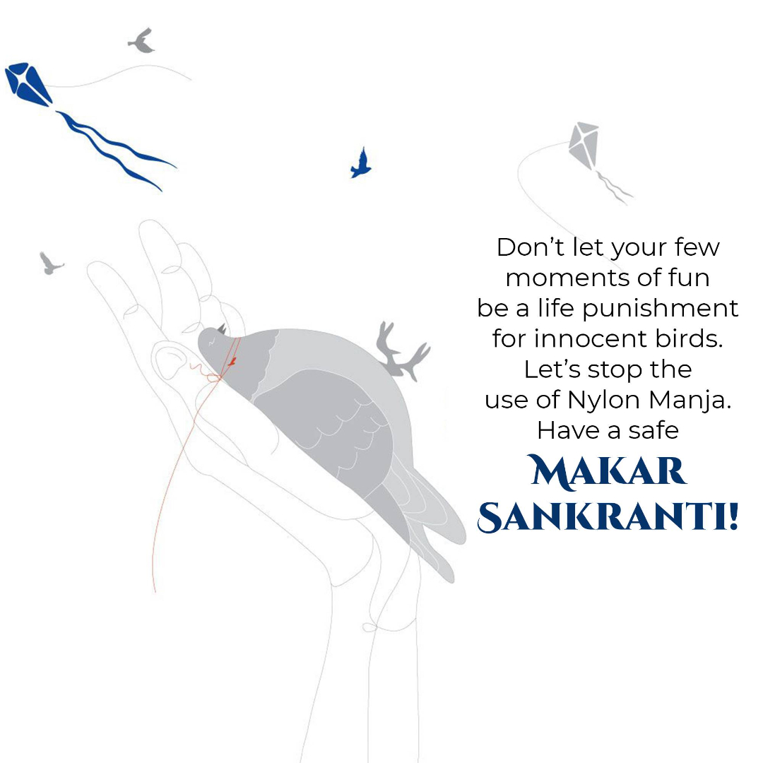 Makar Sankranti Image 3