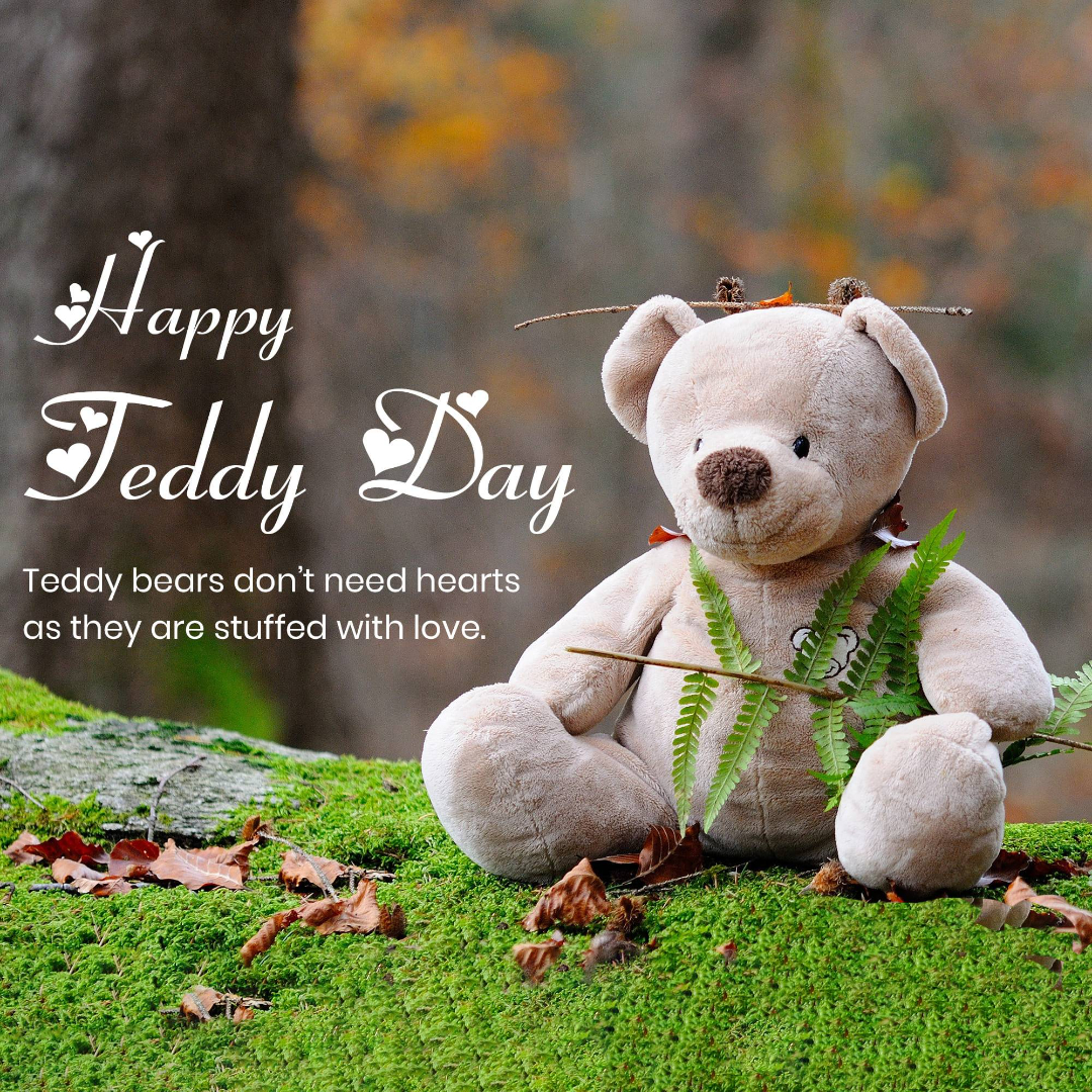 Teddy Day Image 2