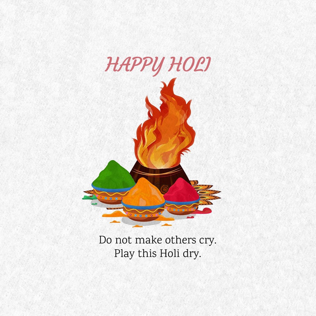 Holika Dahan Image 1